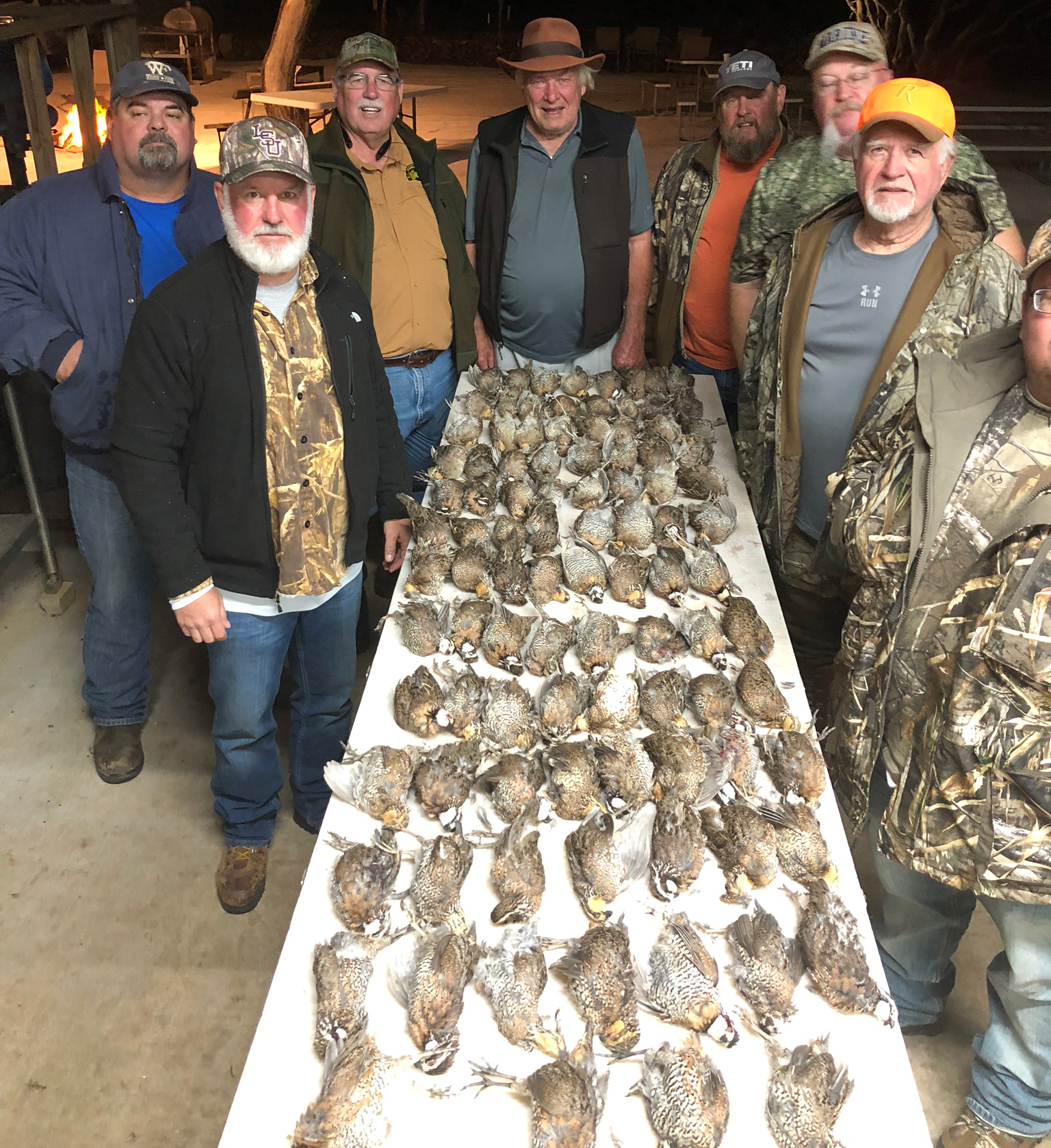 South Texas Quail Hunting